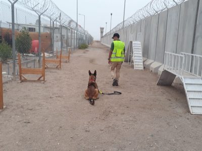 16dbb766-093a-445a-8d48-0b8144350300 16dbb766-093a-445a-8d48-0b8144350300