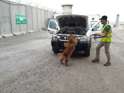 57e94caf-d66d-4eb0-9c63-9149bdc5421a 57e94caf-d66d-4eb0-9c63-9149bdc5421a